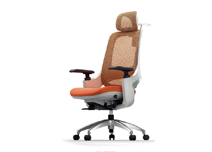 邁斯特人體工學椅B06，上海人體工學椅，【尺寸 價格 圖片 品牌